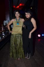 at Kamla Pasand Stardust Post party hosted by Shashikant and Navneet Chaurasiya in Enigma on 13th Feb 2012 (15).JPG